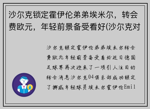 沙尔克锁定霍伊伦弟弟埃米尔，转会费欧元，年轻前景备受看好(沙尔克对霍分海姆)